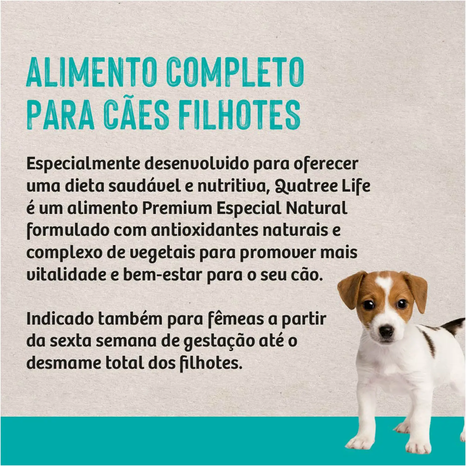 Ração Quatree Cães Life Filhotes Raças Pequenas Frango e Arroz